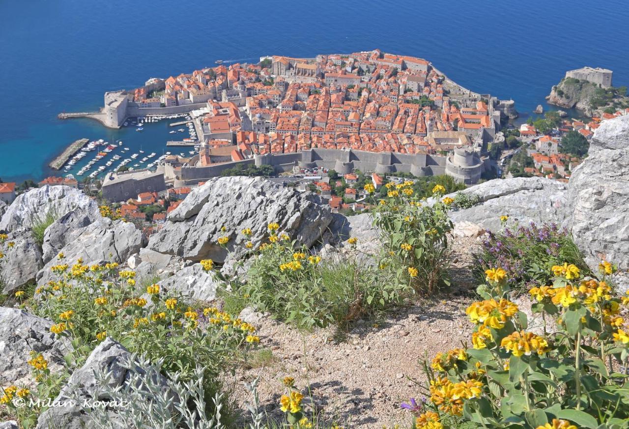 Mirror Apartment Dubrovnik Ngoại thất bức ảnh